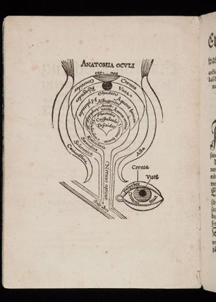 Item #11696 Ein Newes hochnutzlichs Büchlin/ von erkantnüs der kranckeyten der Augen. Heinrich...