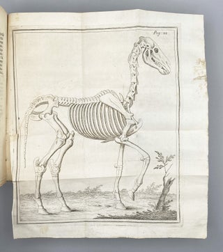 Dell Obbedienza Del Cavallo Trattato.